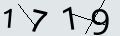 verifycode